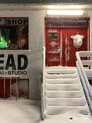 Dead Gallery/Studio