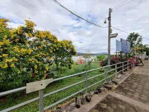 Two-Color River View Point