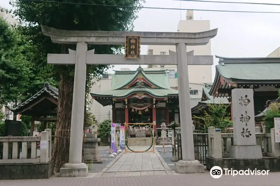 Kashiwa Shrine