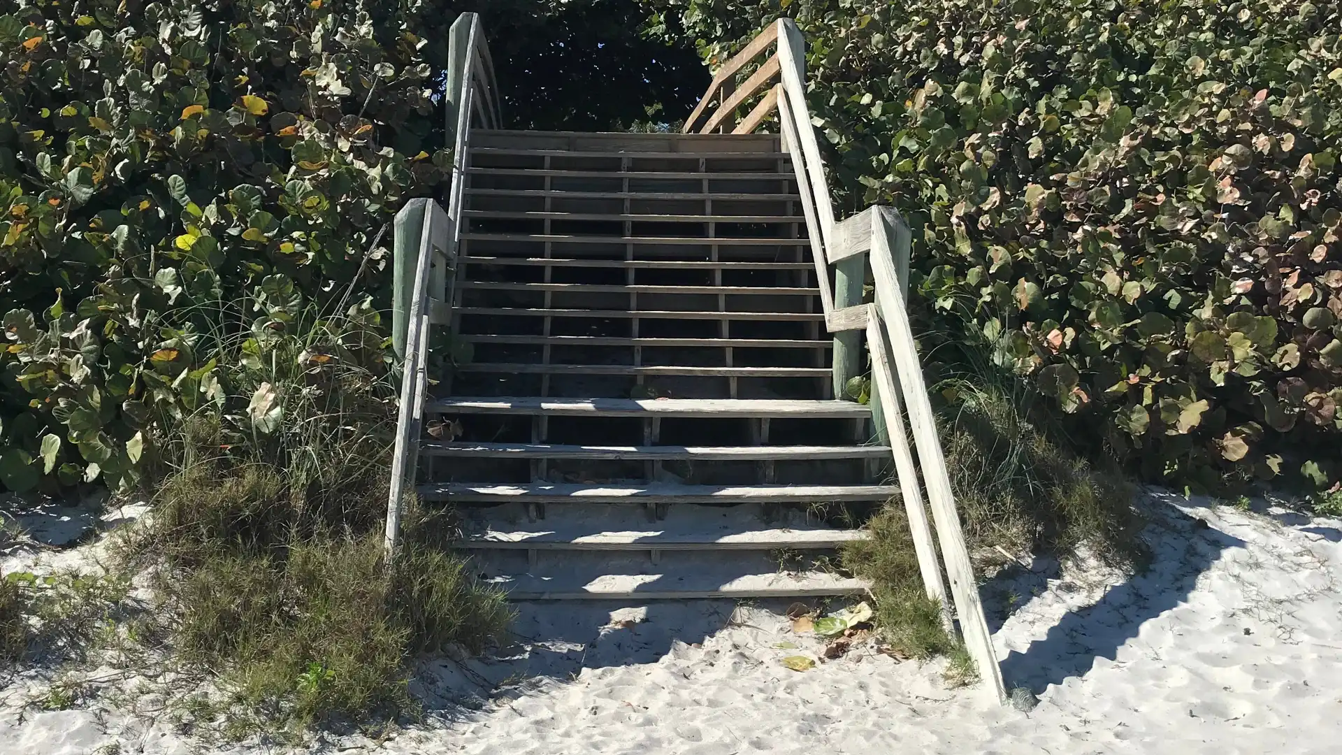 Hotels near Canova Beach Dog Park