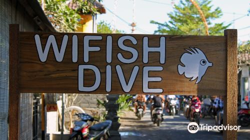 Wi Fish Dive