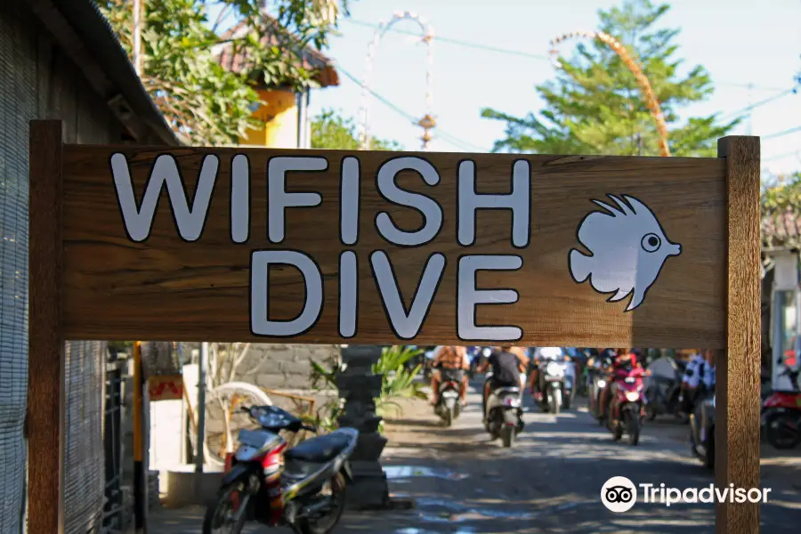WiFish Dive