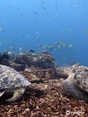 DSM Dive Gili Trawangan & Lombok