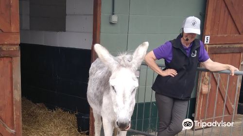 The Wonkey Donkey Visitors Centre