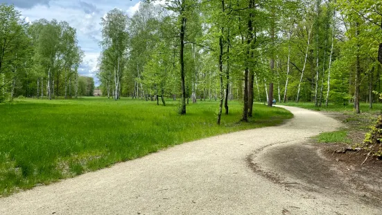 Park Książęcy Zatonie