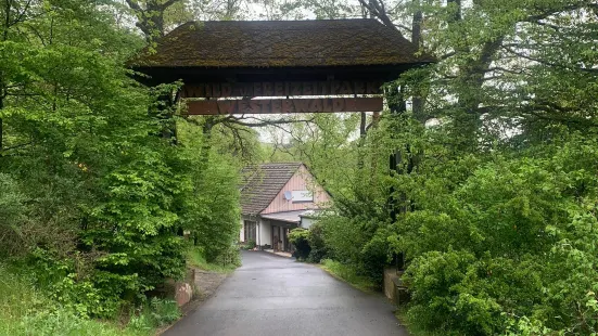 Wild- und Freizeitpark Westerwald