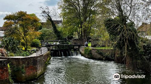 Abbots Mill Garden