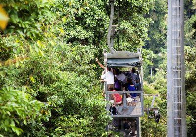 Veragua Rainforest Park