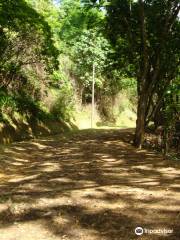 Maracas Falls