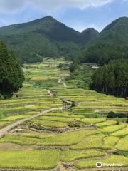 Yotsuya Rice Terraces