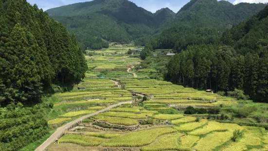 四谷の千枚田