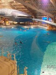 Aquaboulevard water park