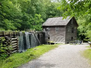 Mingus Mill