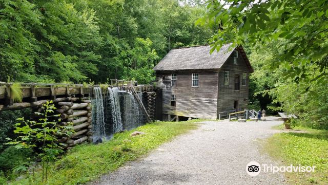 Mingus Mill