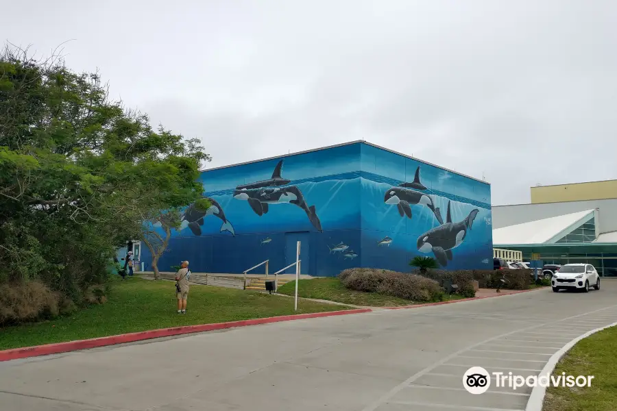 Wyland's Whaling Wall