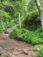 Stolowe Mountain National Park