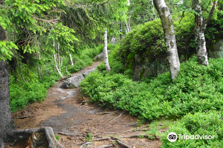 Stołowe Mountains National Park