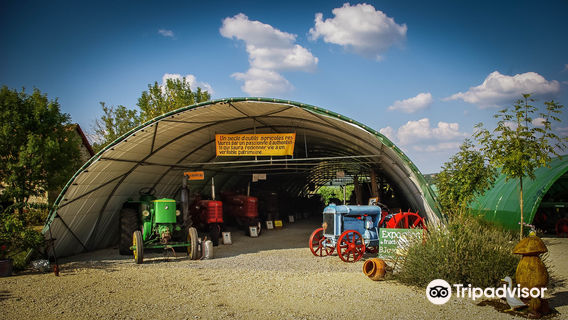 Museum of Agricultural Machinery and Automobile Salviac