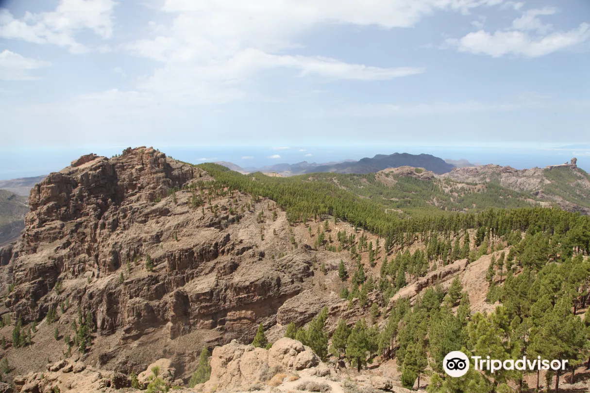 5_Mirador del Pico de los Pozos de la Nieve