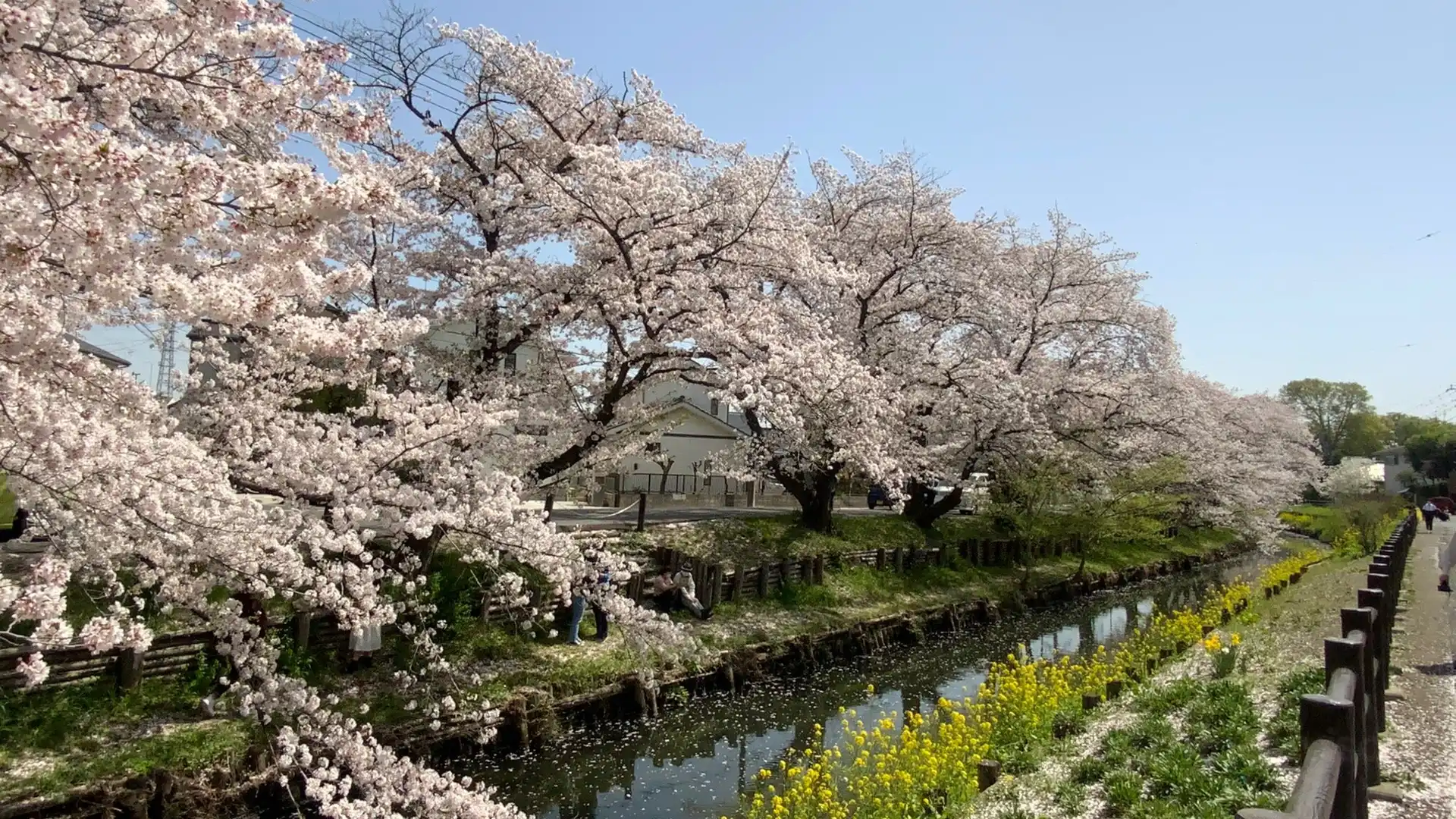 Hotels near Shingashi Riverbank Cherry Blossoms