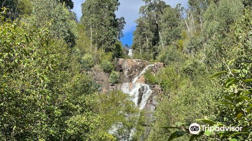 Steavenson Falls