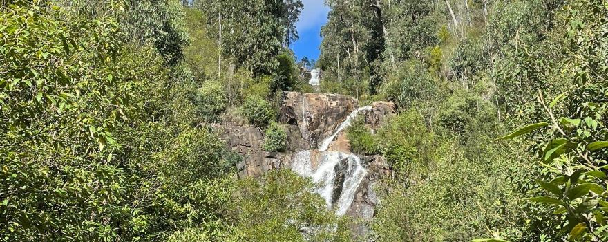 Healesville