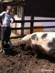 St Werburghs City Farm