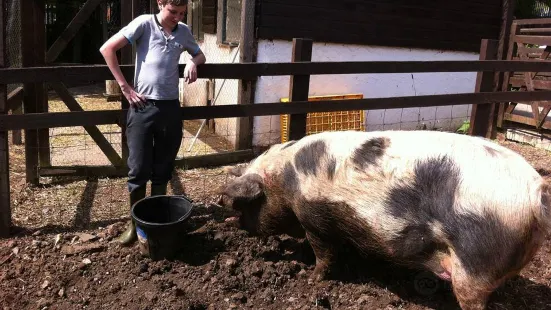 St Werburghs City Farm