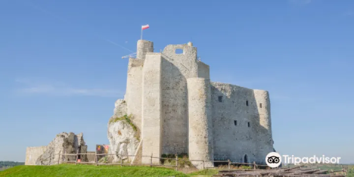 Mirow Castle - ruins