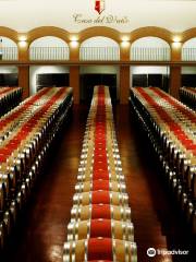 Bodegas y Vinedos Casa del Valle