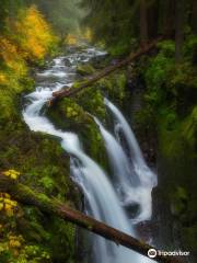 Sol Duc Falls