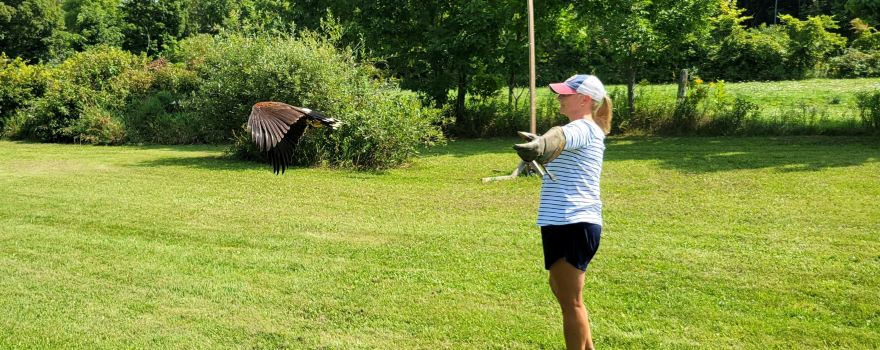 Hawkeye Bird and Animal Control & Falconry Experience Acton