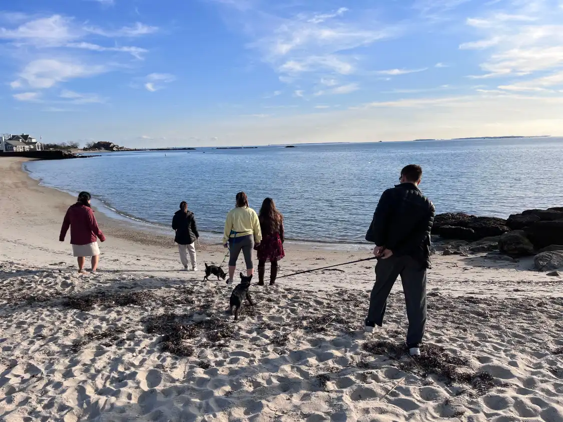 Hotels near Pleasure Beach