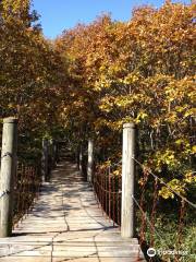 Kushiro Shitsugen Observatory Boardwalk