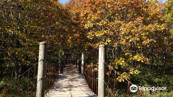 쿠시로습원 전망대