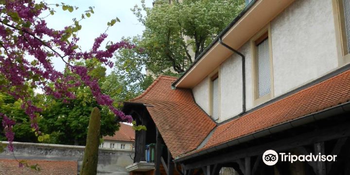 Lausanne History Museum