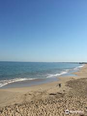 Silver Sands Beach