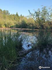 Narbeck Wetland Sanctuary