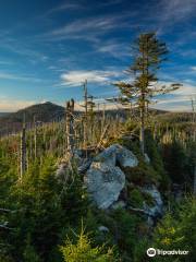 Nationalparkverwaltung Bayerischer Wald