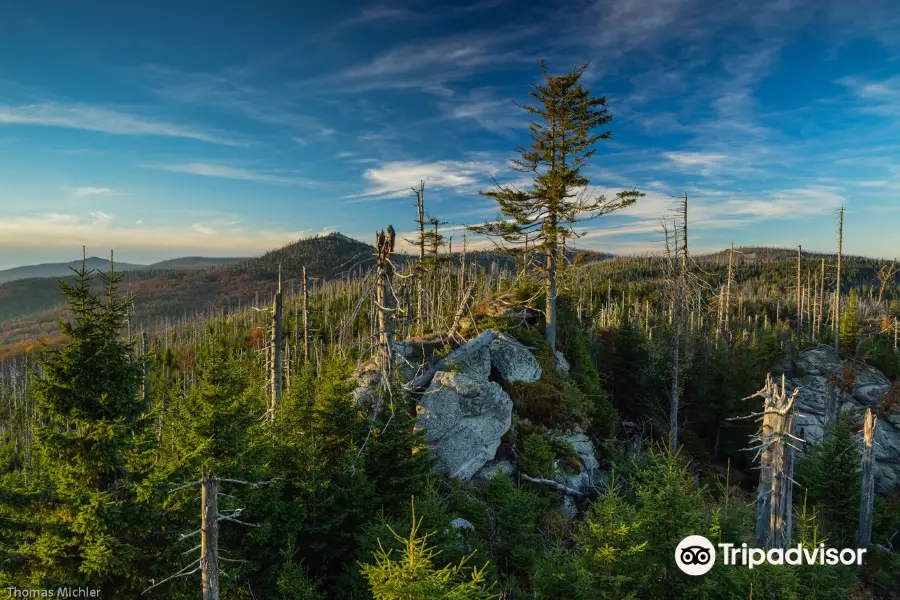 Nationalpark Bayerischer Wald