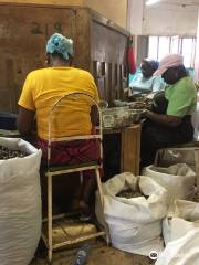 Grenada Co-Operative Nutmeg Association