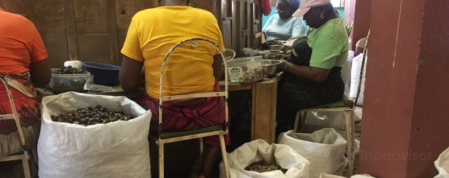 Grenada Co-Operative Nutmeg Association