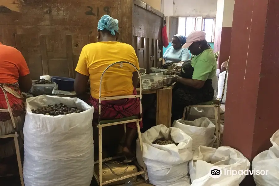 Grenada Co-Operative Nutmeg Association