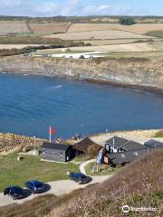 Fine Foundation Wild Chesil Centre