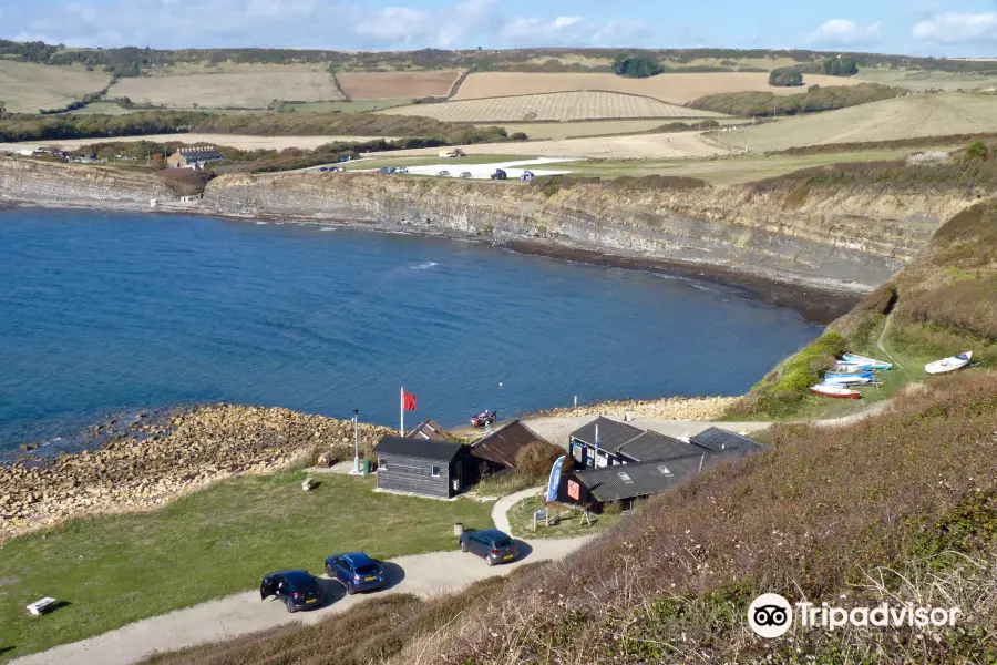 Fine Foundation Wild Chesil Centre