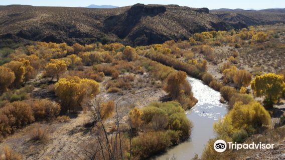 Gila Box Riparian National Conservation Area