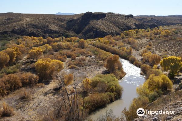 Gila Box Riparian National Conservation Area