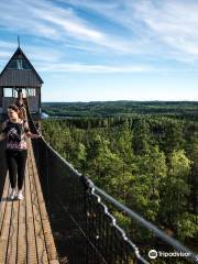 Sweden Zipline