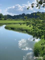 Fore River Sanctuary