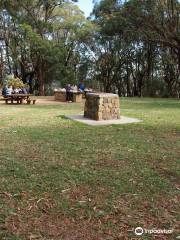 One Tree Hill Picnic Ground